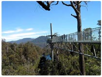 Tahune Airwalk