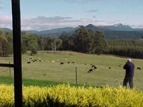 View 01